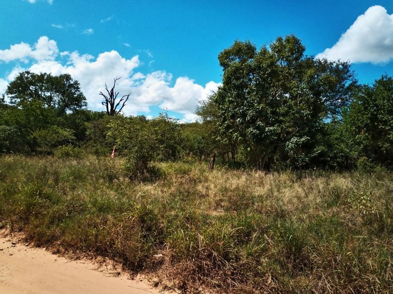 Beautiful vacant stand 3202m2 available with BIG 5 for sale in Mjejane Game Reserve.