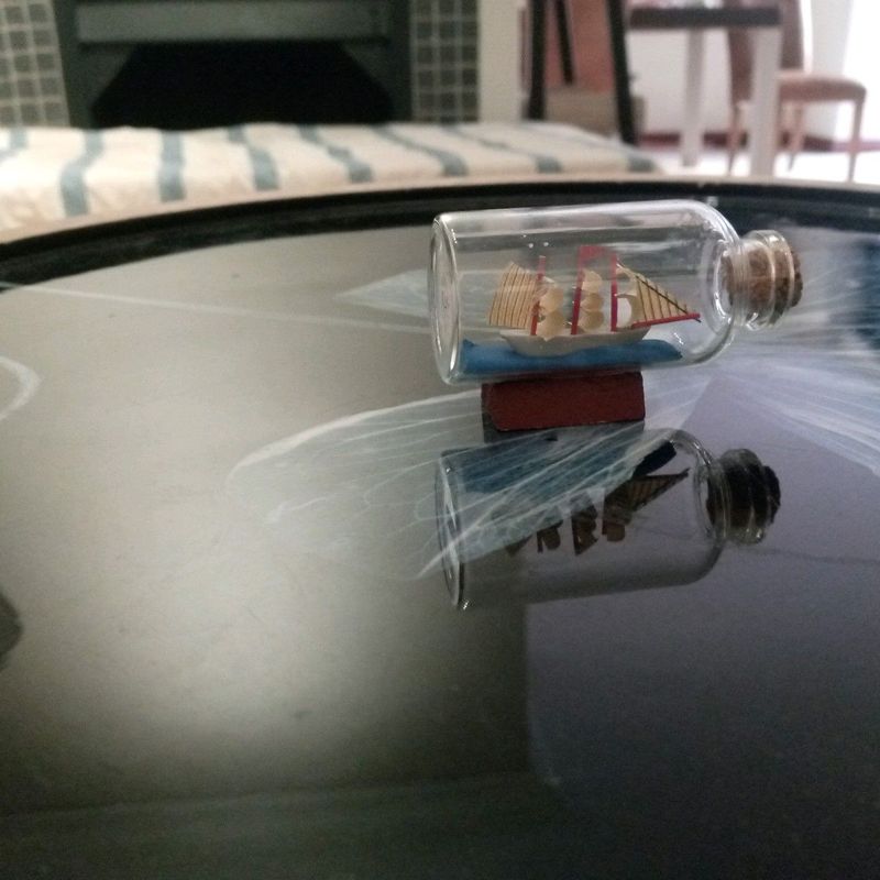 Ship in a bottle