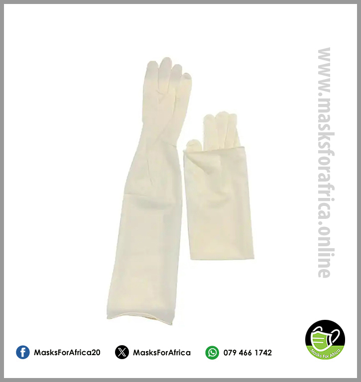 Gynaecological Sterile Latex Gloves - 50/box