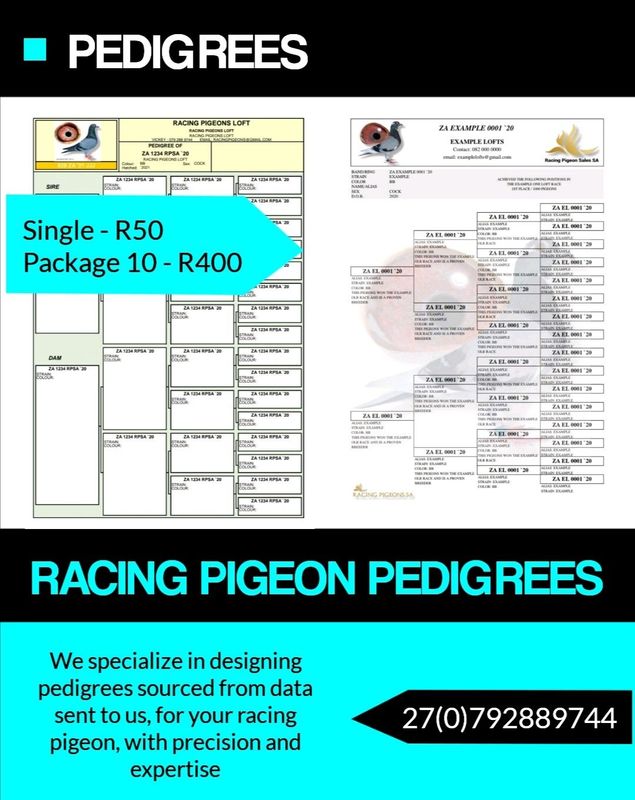 Pigeon Pedigrees