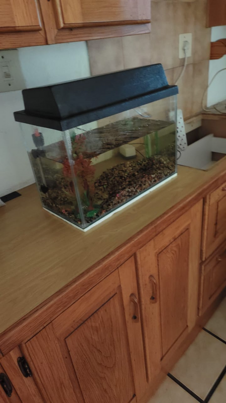 3 aquariums for sale