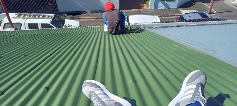 Waterproofing and Roofpainting