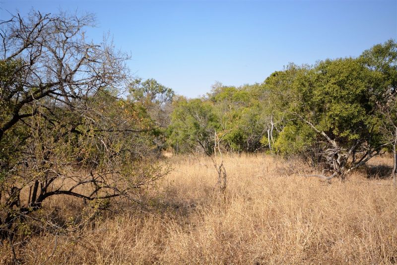 Vacant Land in MODITLO NATURE RESERVE.