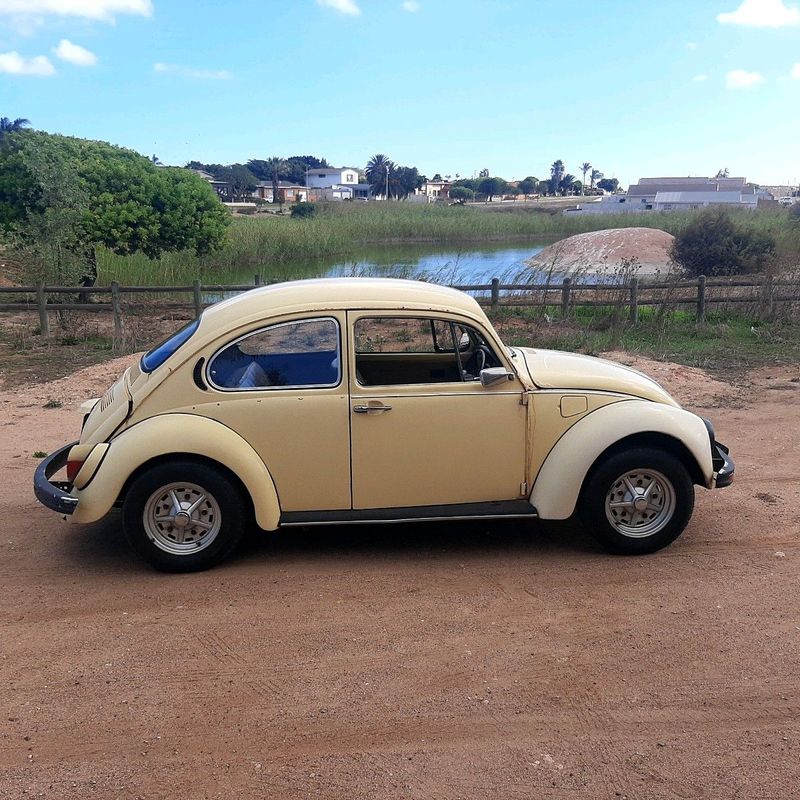 1975 vw beetle for sale