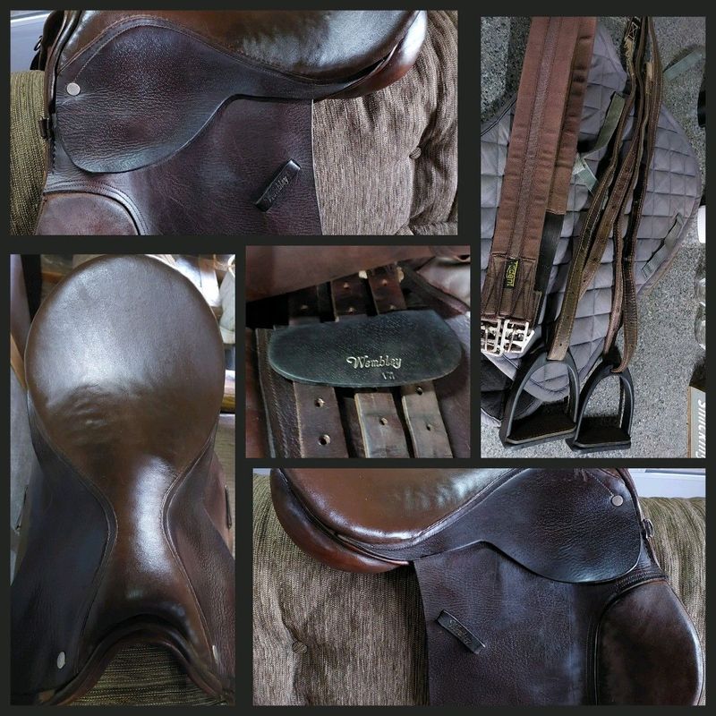 18&#34; Wembley Saddle with Saddle pad for sale
