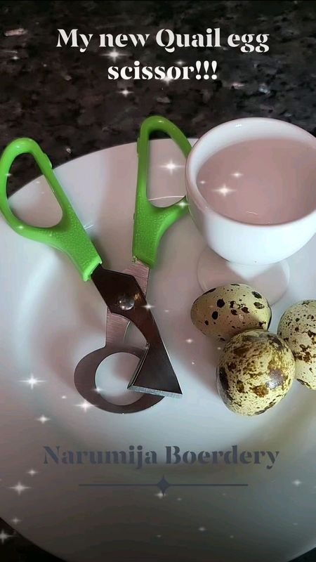 Quail egg scissors