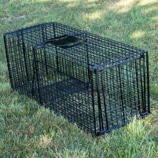 Stray &amp; Feral Cat Trap Cage for Hire (Rent) per Week - CPT