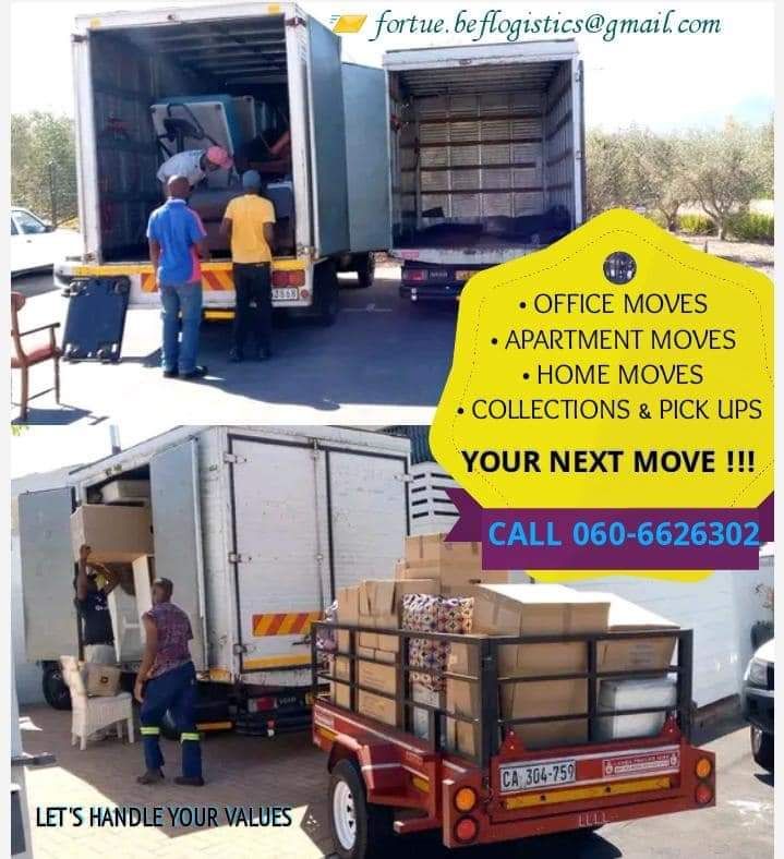 PROFESSIONAL MINI REMOVALS