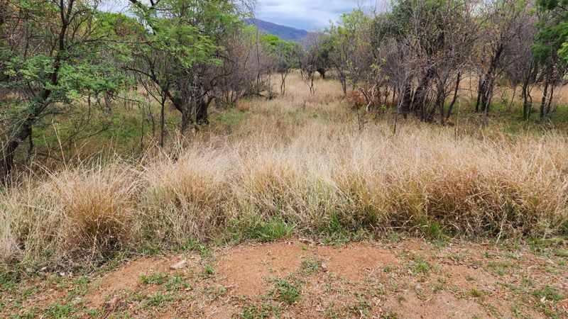 1199m2 Vacant Land in Seasons