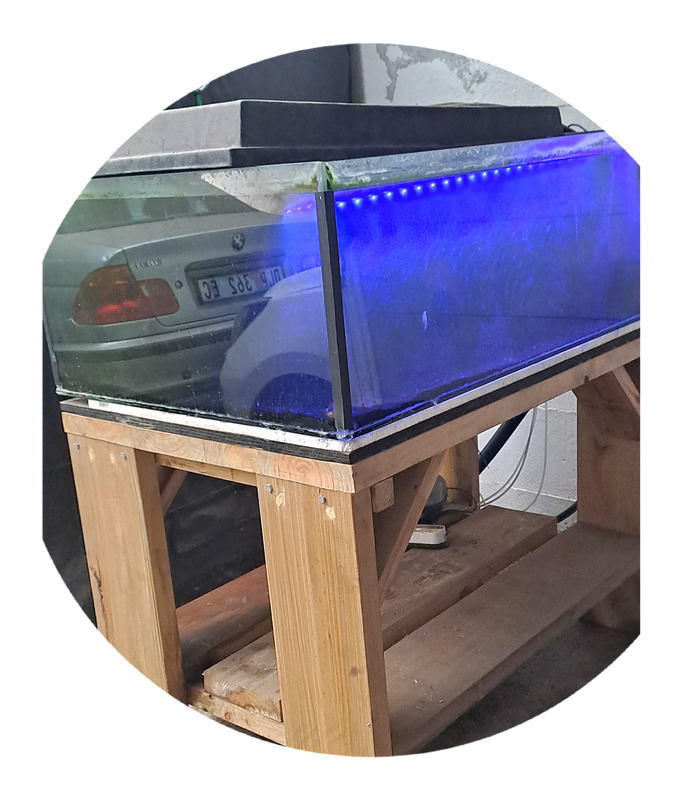 Large fish tank on stand with fish and all accessories. 1.2m x 80 x 40.