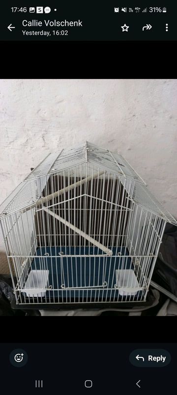 Bird Cages