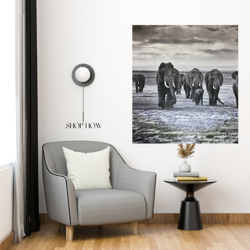 Reduced - Elephant on canvas 900mm*1000mm