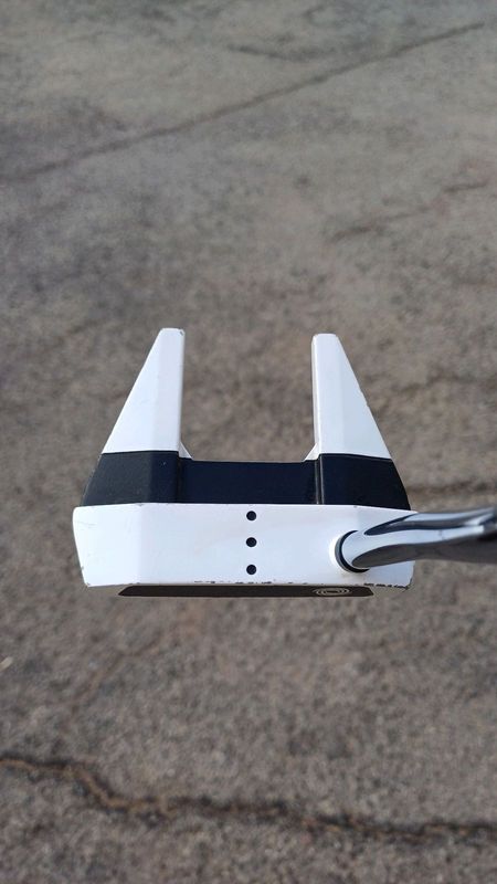 Odyssey and Ping Anser putter