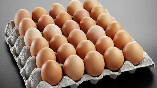 Fresh brown and white chicken table eggs for sale.