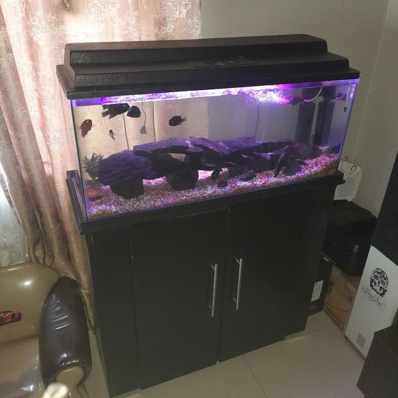 3ft fish tank complete setup