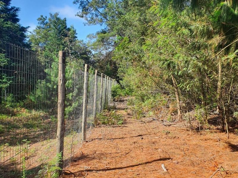 3Ha Vacant Land For Sale in Hogsback