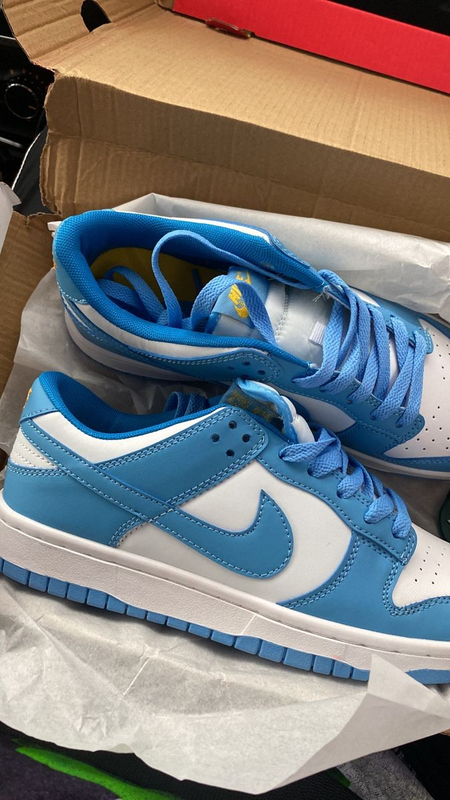 Nike dunks(Blue and white)
