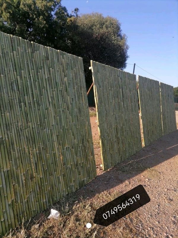 Bamboo and wood fencing