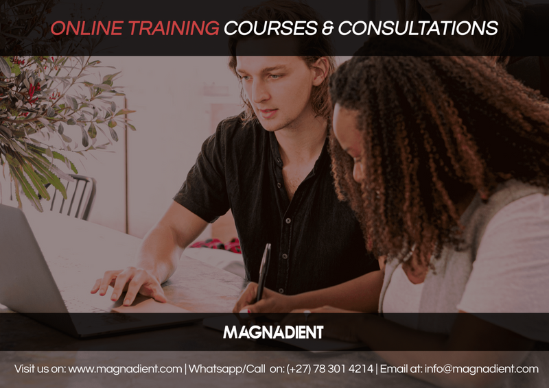 Accelerate Your Career with Magnadient&#39;s Online Training Programs