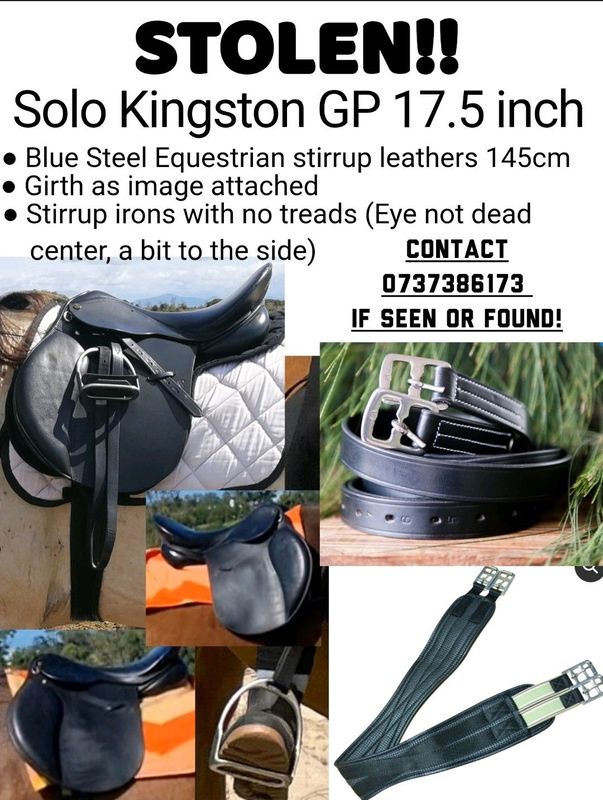 STOLEN Solo Kingston GP 17.5 inch and others