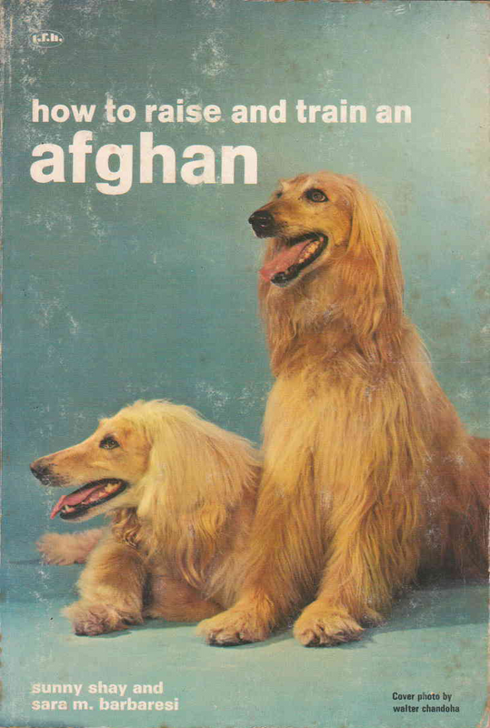 How to Raise and Train an Afghan - Sunny Shay and Sara M. Barbaresi (1958) - Ref. B238 - Price R130