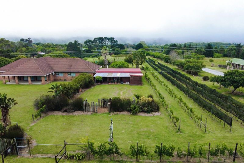 Auction - Theescombe Estate Wine Farm