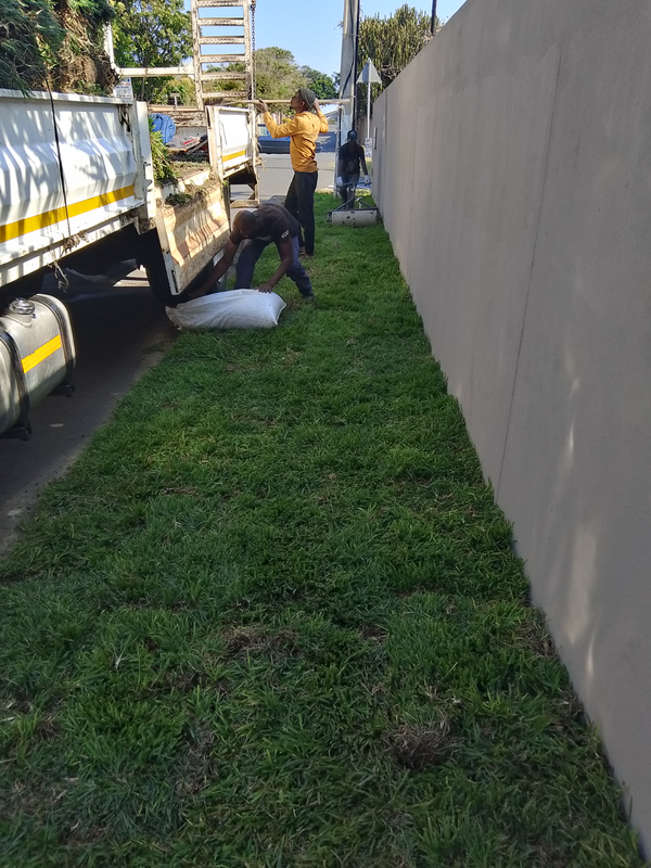 INSTANT LAWN BY GRASS EN ALL WE GRASS KZN CONT 0833218052