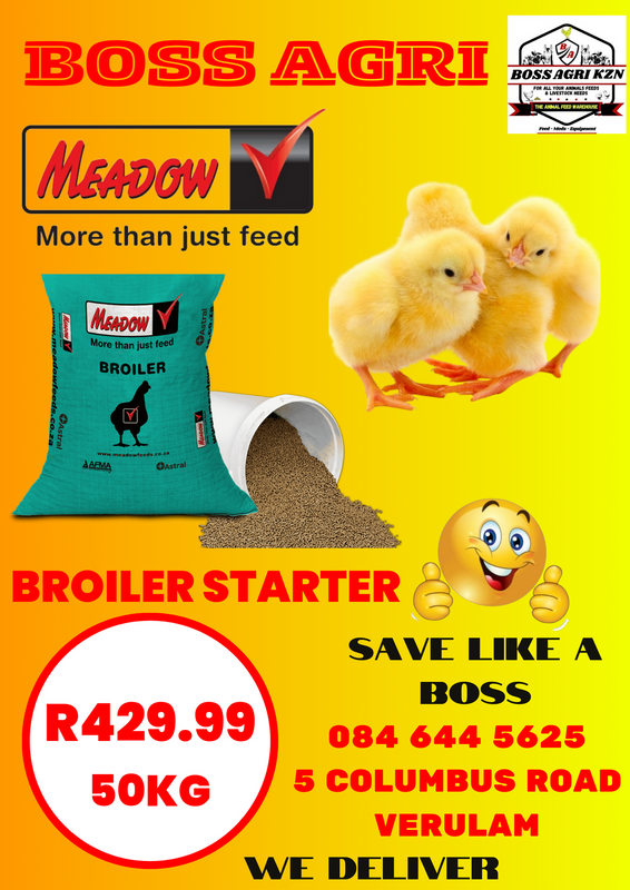 Meadow Chicken feed