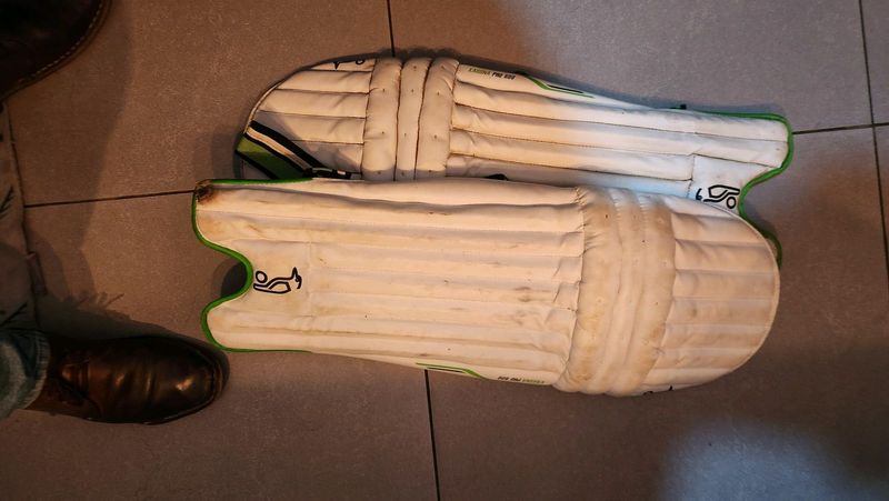 Cricket pads for sale