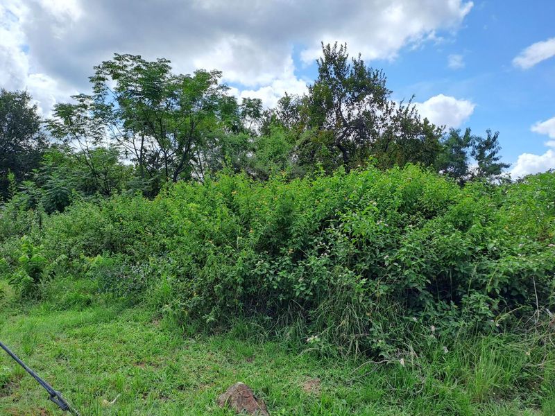 665m² Vacant Land For Sale in Hazyview