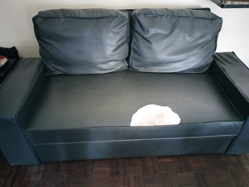 Convertible Sleeper Couches for Sale