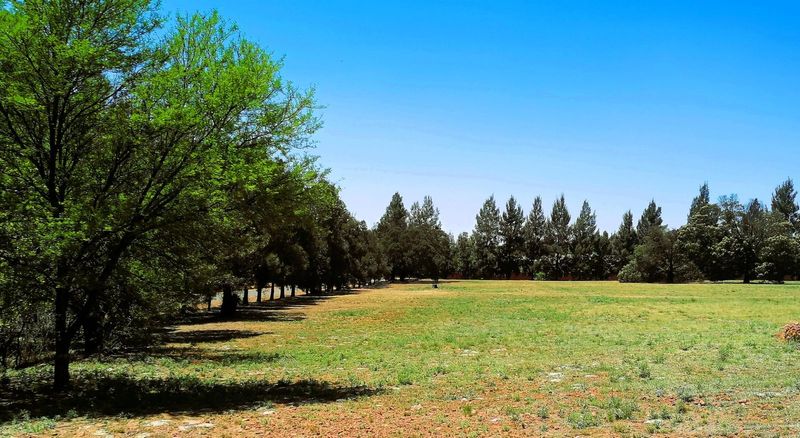 0 sq. meter Vacant Land Residential in Blue Saddle Ranches For Sale