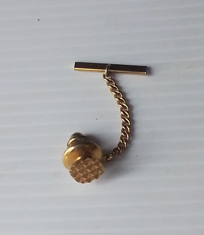 Vintage Gold Toned Metal PIN