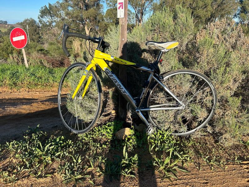 Giant Road Bike Forsale. R2200. Contact 0727996157