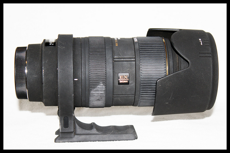 Sigma EX 50-500mm f/4-6.3 DG APO HSM (Canon)