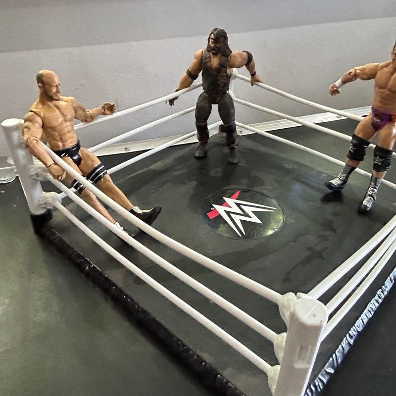 WWE RING AND FIGURES