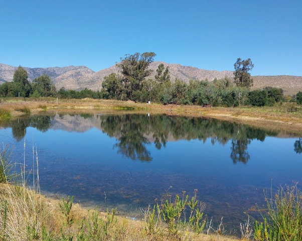 Rare Gem in Langkloof with registered water