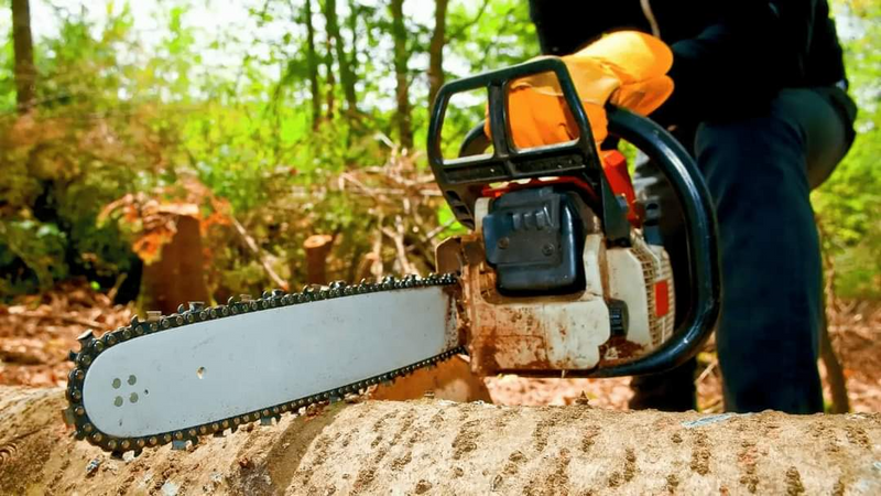 Lk tree Felling and rubble removal services