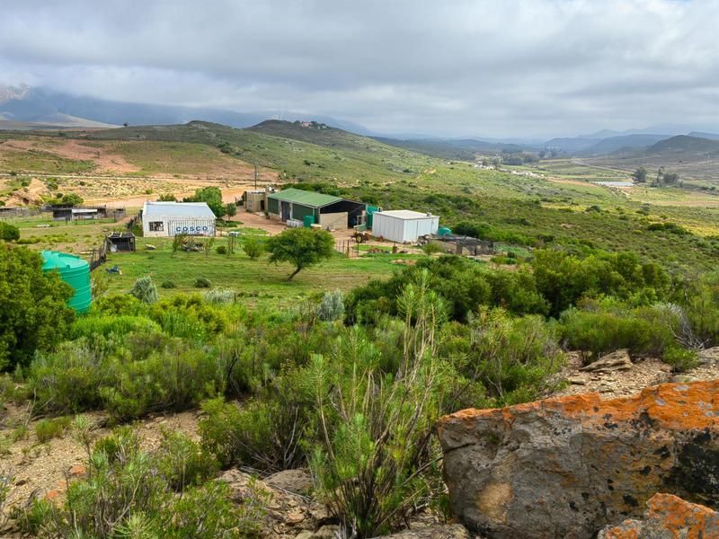 Your Ultimate Homestead A Farming Oasis on the Scenic R62 Route