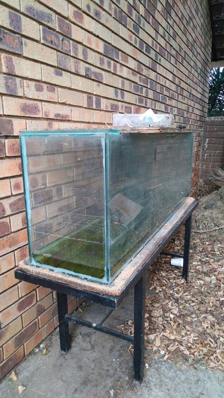 Fish tank for sale very strong and excellent quality