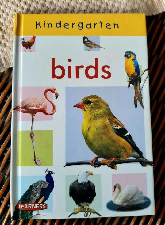 Kindergarten learners book for kids- Birds