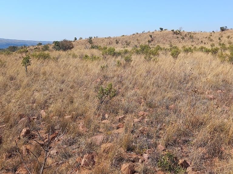 26Ha Small Holding For Sale in Thabazimbi