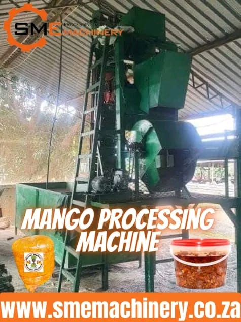 Mango atchar cutting machinery
