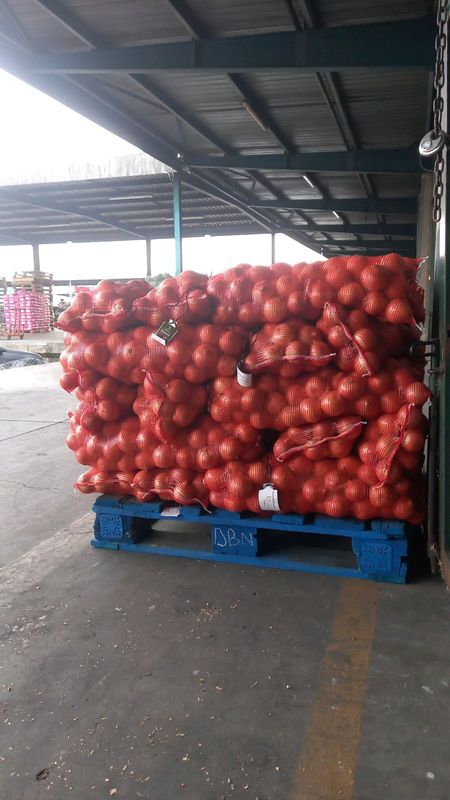 Onions 10kg