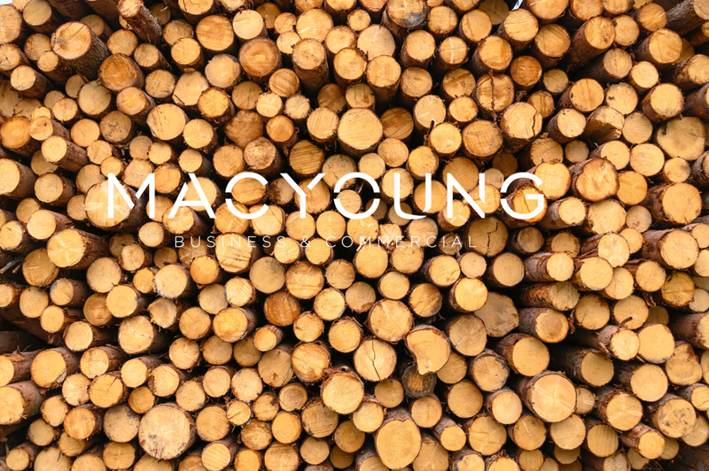 MACYOUNG.BIZ -  Timber Product Manufacturer in Garden Route