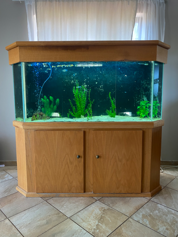 Cabinet Fish tank
