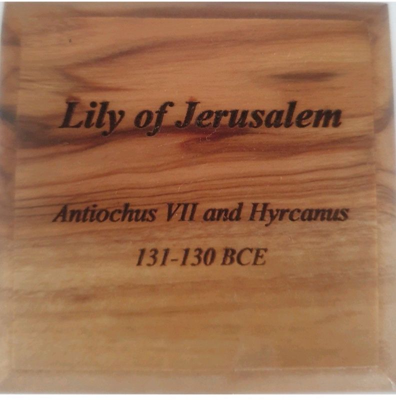 Oldest coin on Gumtree Lily of Jerusalem