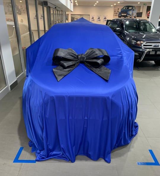 Car Bows ,Covers and Branding