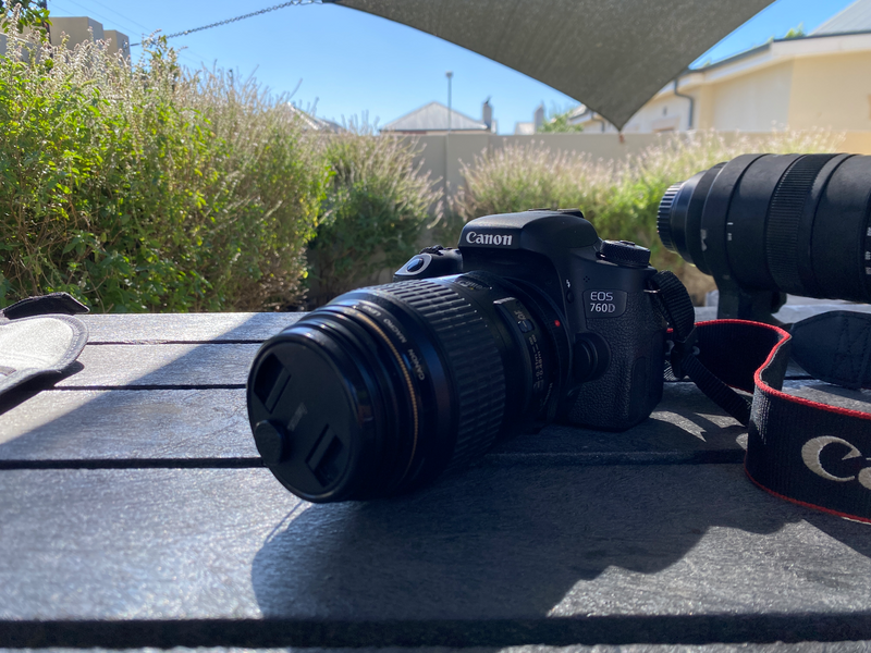 Canon EF 100mm F2.8 USM Macro Lens (Lens Only)