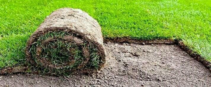 Instant roll on lawn grass weed free straight from the farm